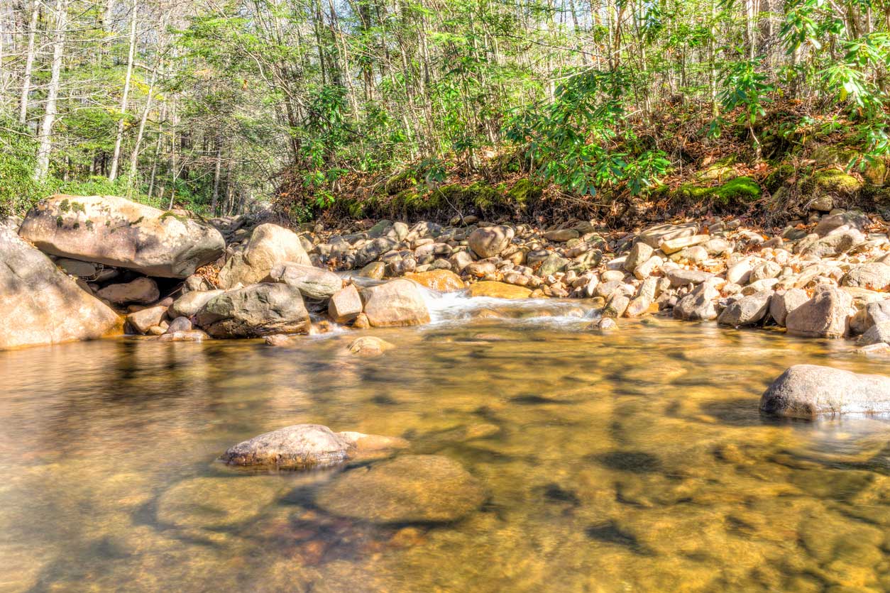 Creek in WV